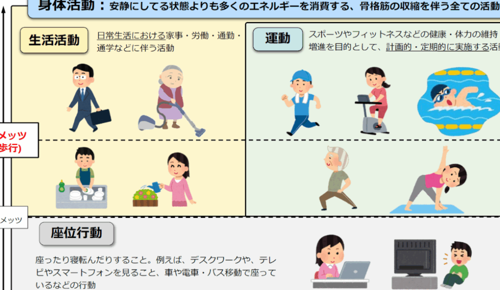 運動習慣が身体機能に与える影響と具体例一覧